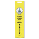 2" x 8" Custom Multicolor Tape Top Award Ribbon