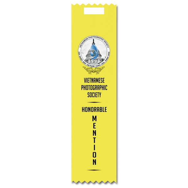2" x 8" Custom Multicolor Tape Top Award Ribbon