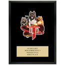 9" x 12" Custom Full Color Black Plaque With Engraved Plate
