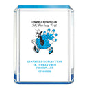4-3/4" x 6-1/4" Custom Full Color Blue Shimmer Acrylic Award