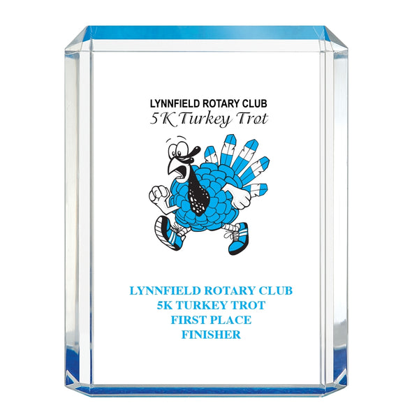 4-3/4" x 6-1/4" Custom Full Color Blue Shimmer Acrylic Award