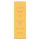 2-1/2" x 8" Custom Pinked Top Award Ribbon