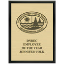 9" x 12"  Award Plaque - Black With Engraved Plate