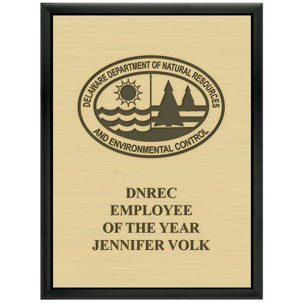 9" x 12"  Award Plaque - Black With Engraved Plate