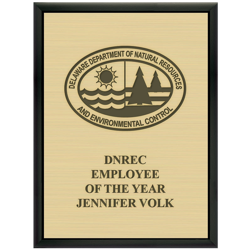 9" x 12"  Award Plaque - Black With Engraved Plate