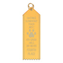 2" x 6" Custom Point Top Award Ribbon With Border