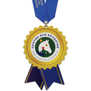 5" Standard Shape Birchwood Medal With Satin Neck Ribbon