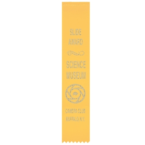 2" x 10" Hot Stamped Hemmed Top Ribbons