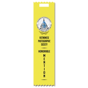 2" x 8" Multicolor Tape Top Ribbons