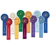 Swim Stock Rosette - 1 Streamer