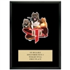 9" x 12" Full Color Custom Plaque - Black Finish