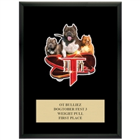 9" x 12" Full Color Custom Plaque - Black Finish