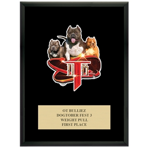 9" x 12" Full Color Custom Plaque - Black Finish