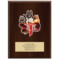 9" x 12" Full Color Custom Plaque - Cherry Finish