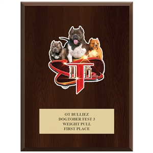9" x 12" Full Color Custom Plaque - Cherry Finish