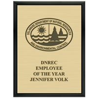 9" x 12" Black Plaque w/ Engraved Plate