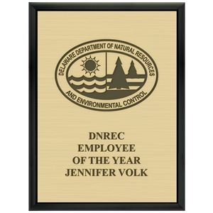 9" x 12" Black Plaque w/ Engraved Plate