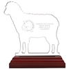 Engraved Sheep Acrylic
